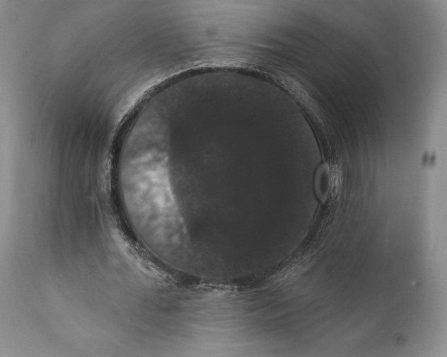 X0000111440676200907271130