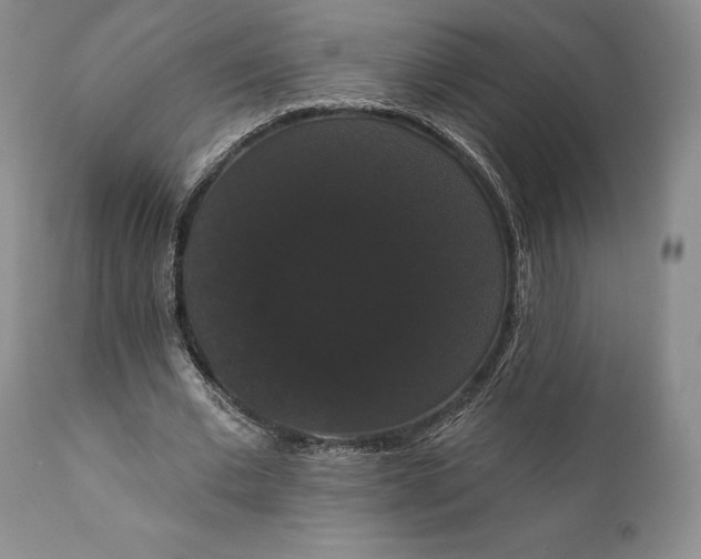 X0000111440677200907271130