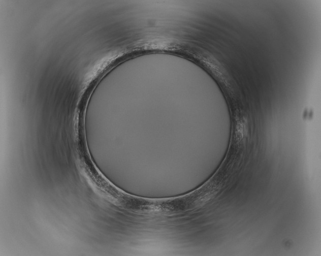 X0000111440678200907271130