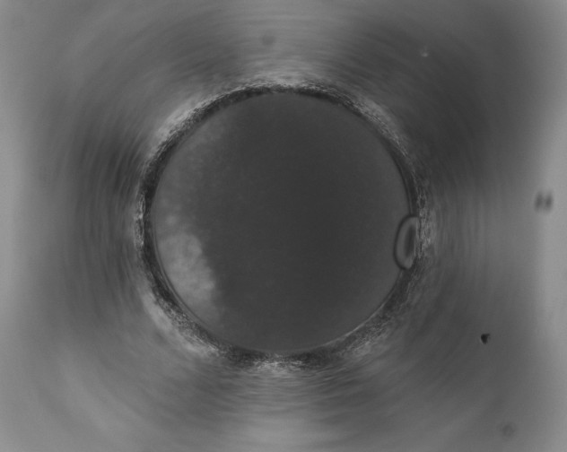 X0000111440680200907271130