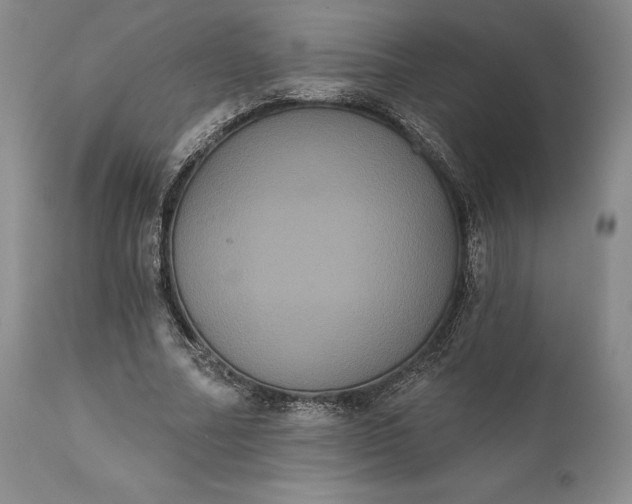 X0000111440682200907271130