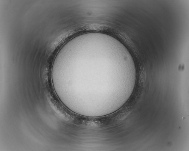 X0000111440683200907271130