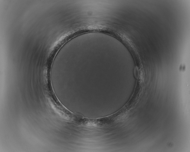 X0000111440684200907271130