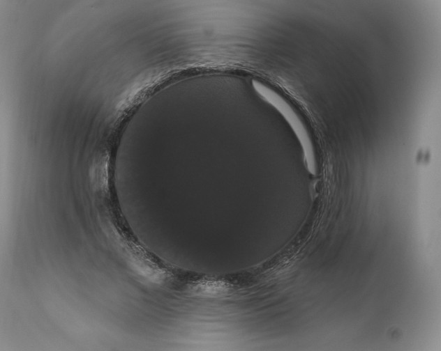 X0000111440685200907271130