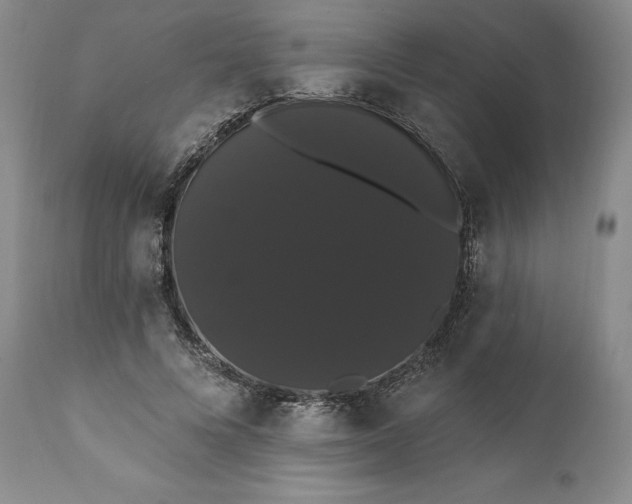 X0000111440688200907271130