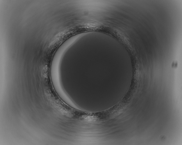 X0000111440689200907271130