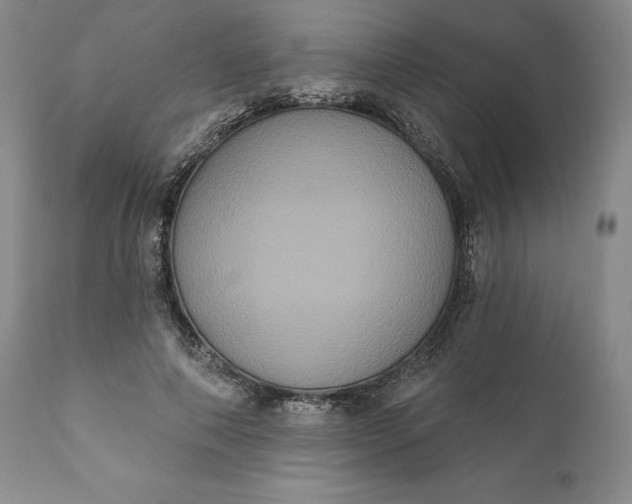 X0000111440690200907271130