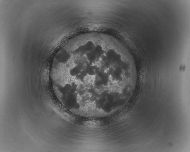 X0000111440691200907271130