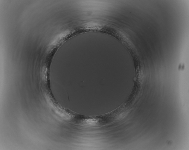 X0000111440692200907271130