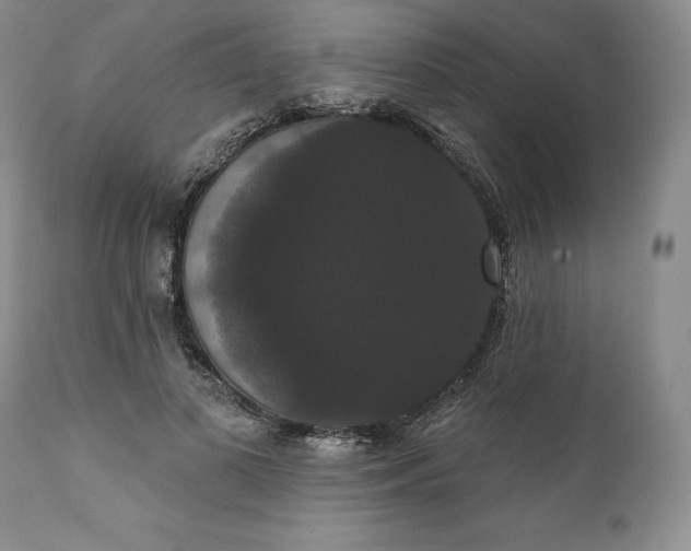 X0000111440693200907271130