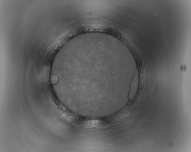 X0000111440695200907271130