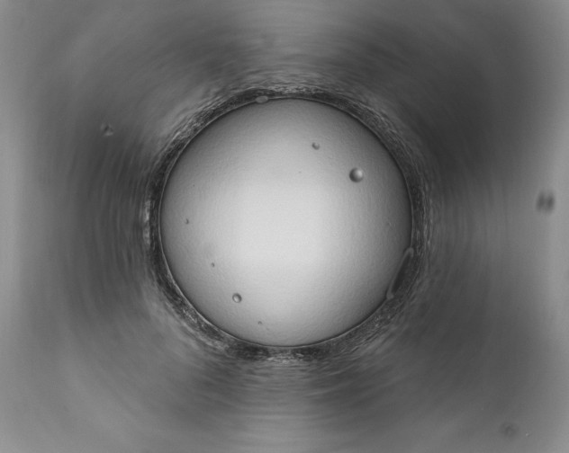 X0000111440696200907271130