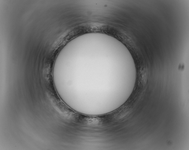 X0000111440698200907271130