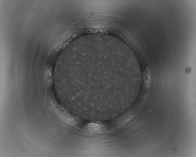 X0000111440699200907271130