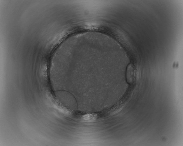 X0000111440700200907271130