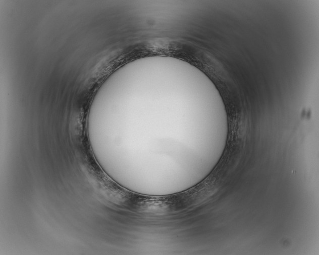 X0000111440702200907271130