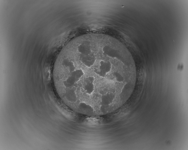 X0000111440703200907271130