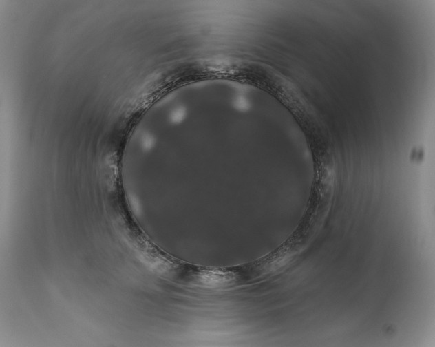 X0000111440707200907271130