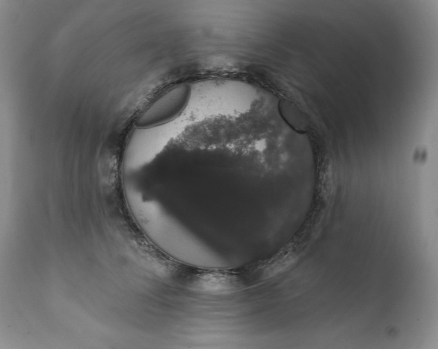 X0000111440708200907271130