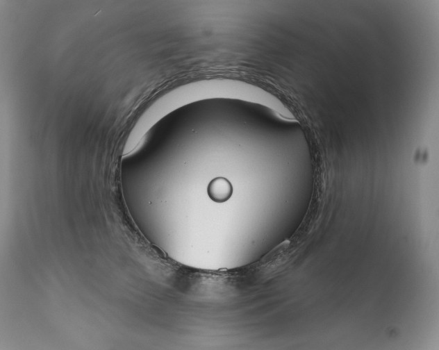 X0000111440709200907271130