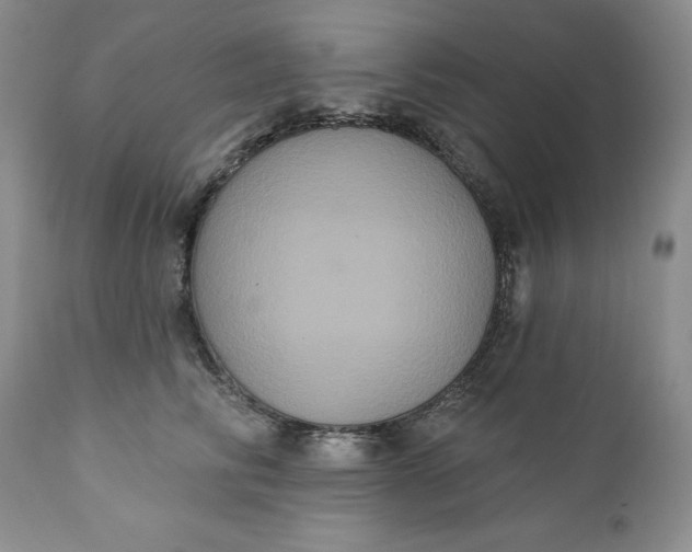 X0000111440710200907271130