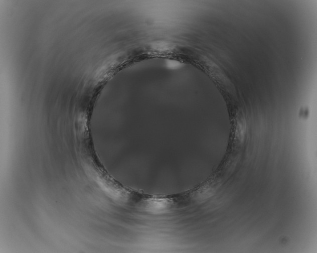 X0000111440711200907271130