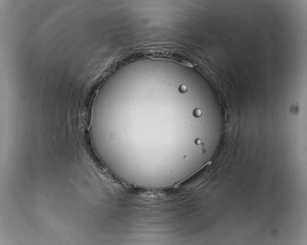 X0000111440712200907271130