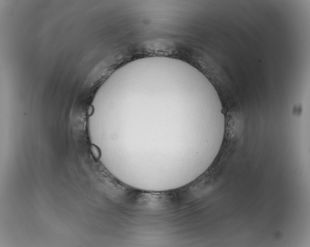 X0000111440713200907271130