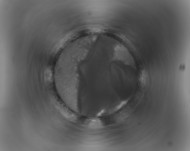 X0000111440715200907271130