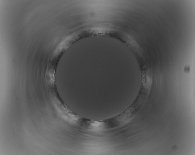 X0000111440718200907271130