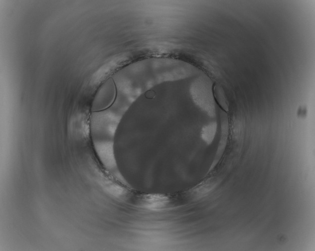 X0000111440719200907271130