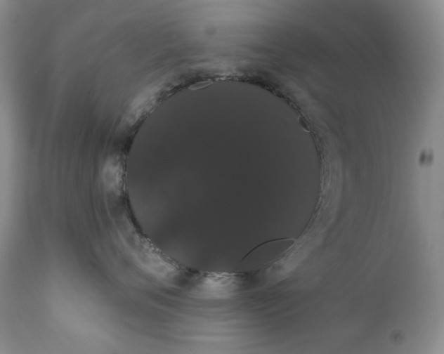 X0000111440720200907271130