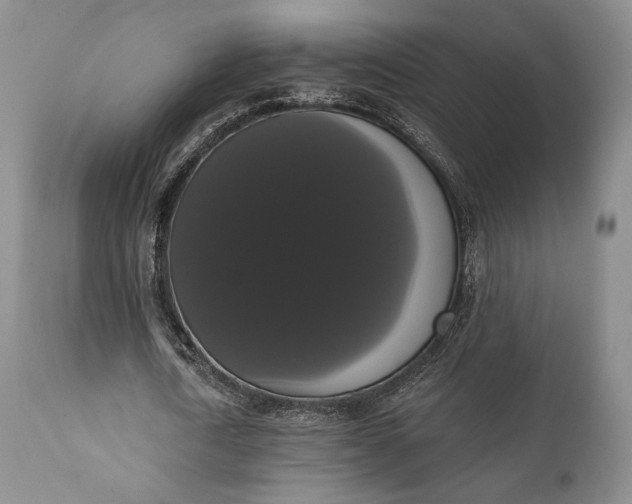 X0000111440722200907271129