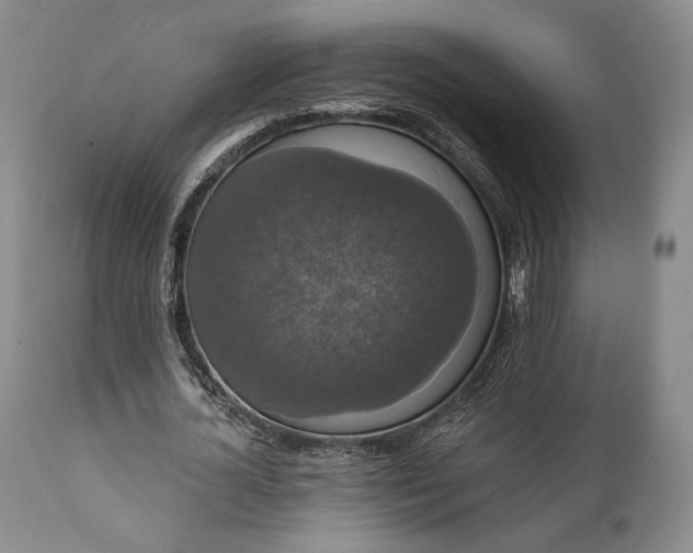 X0000111440724200907271129