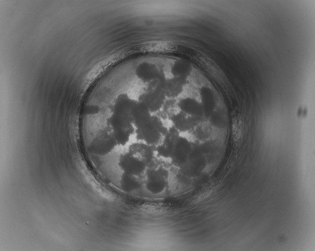 X0000111440725200907271129