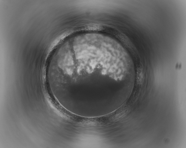 X0000111440726200907271129