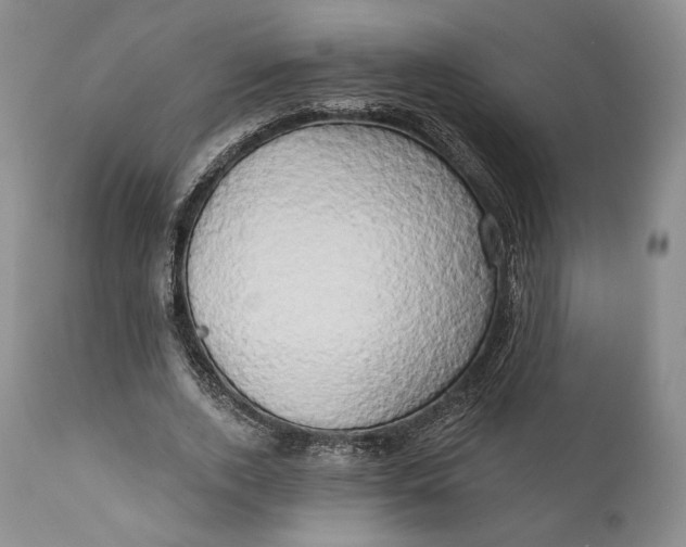 X0000111440728200907271129