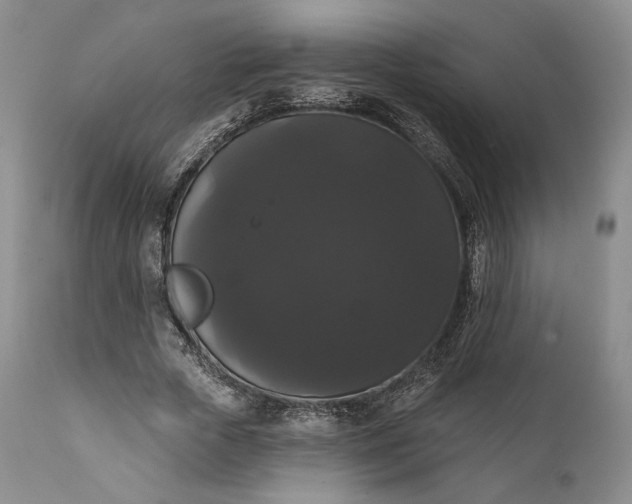 X0000111440729200907271129