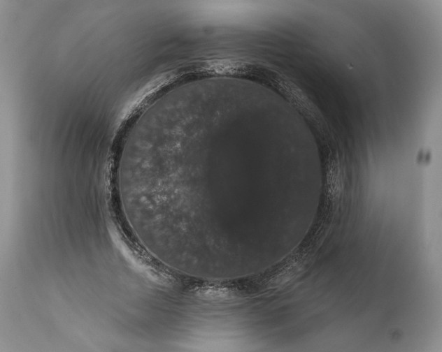 X0000111440730200907271129