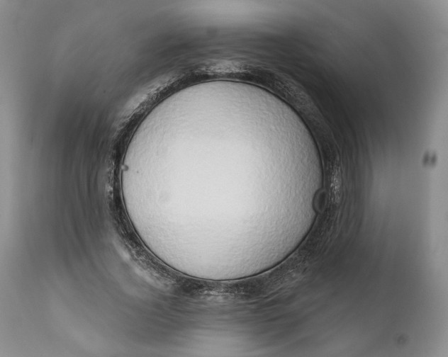 X0000111440732200907271129