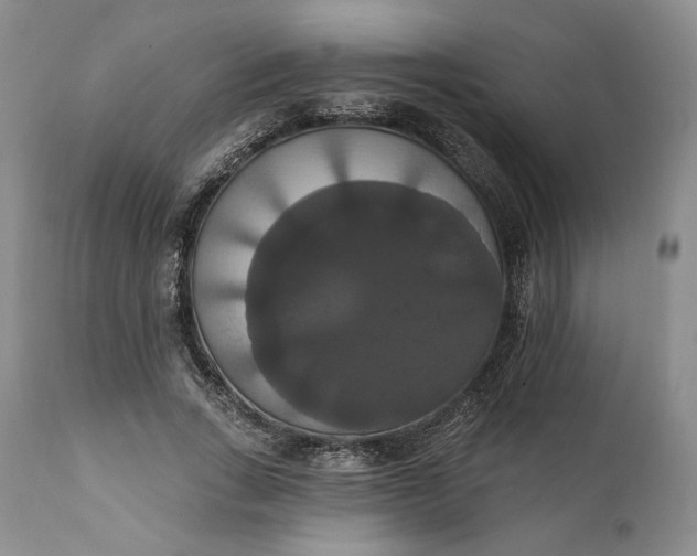 X0000111440735200907271129