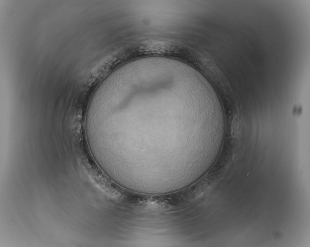 X0000111440737200907271129