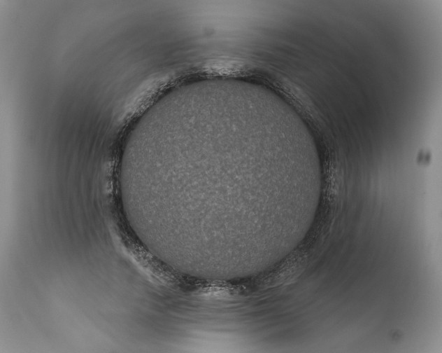 X0000111440738200907271129