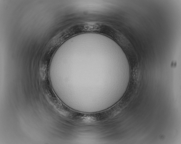 X0000111440741200907271129