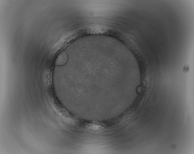 X0000111440743200907271129