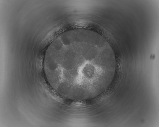 X0000111440745200907271129