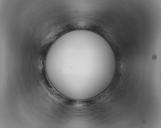 X0000111440746200907271129