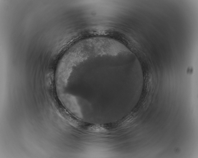 X0000111440747200907271129