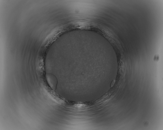 X0000111440748200907271129