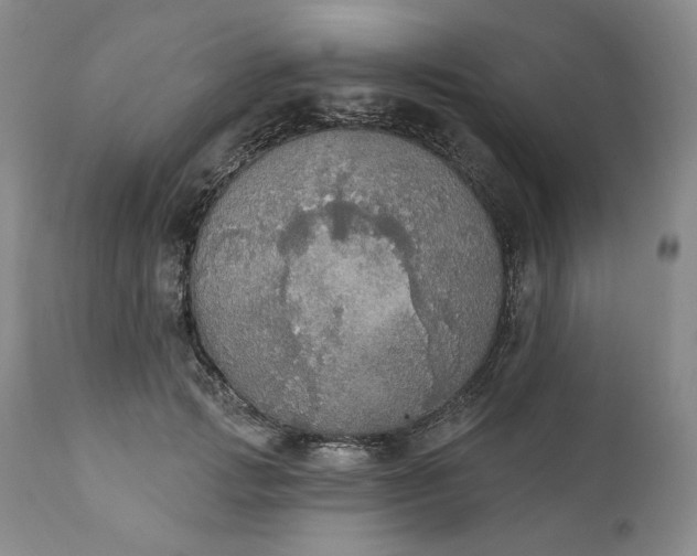 X0000111440749200907271129